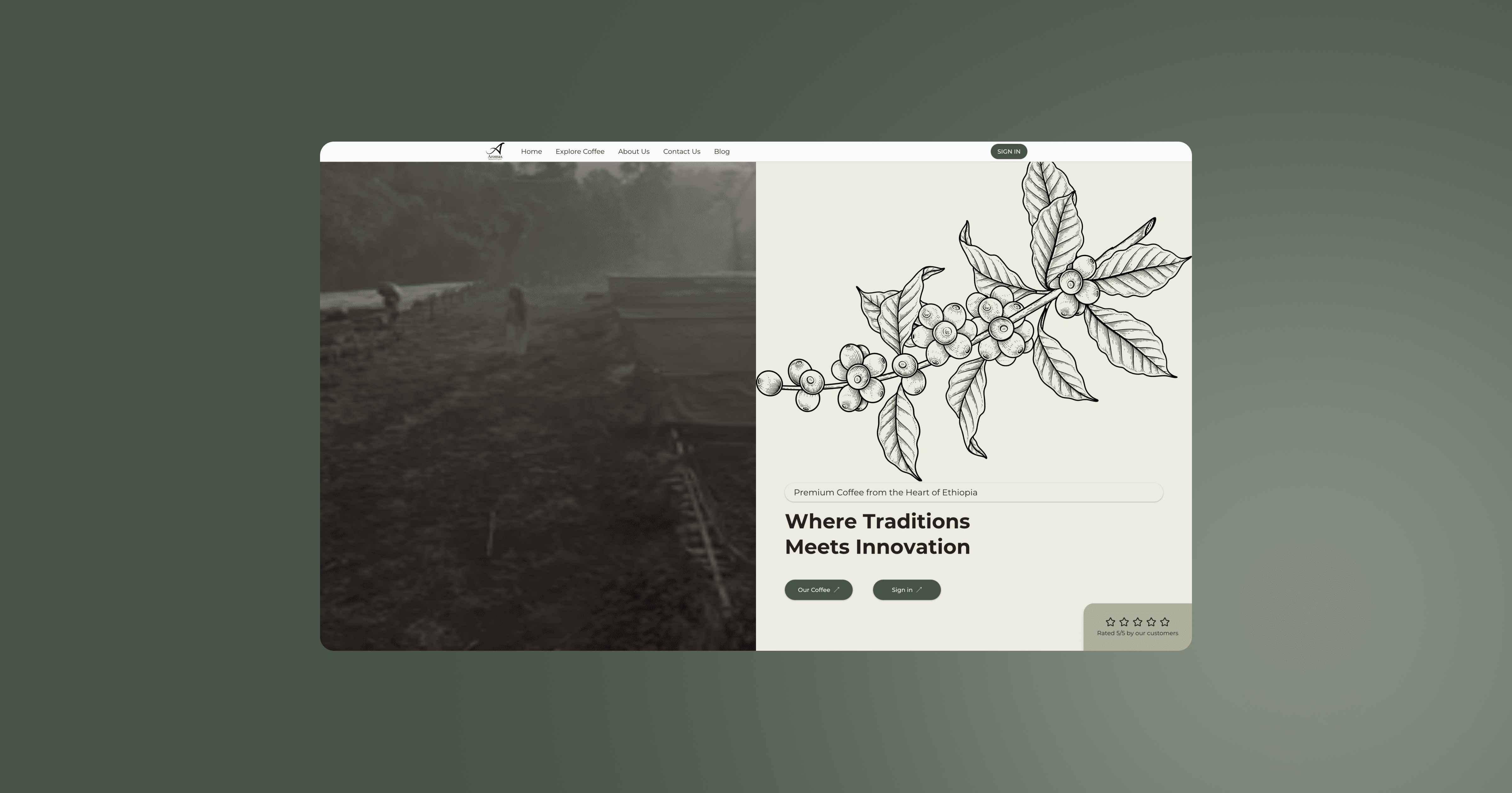 Aromax Coffee Import and Export Public website